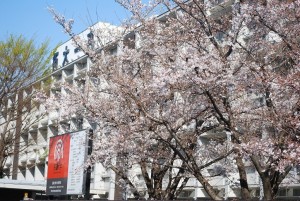 桜202102