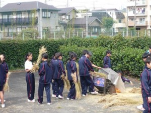 フィールドワーク～脱穀・精米～