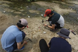 フィールドワーク地学巡検