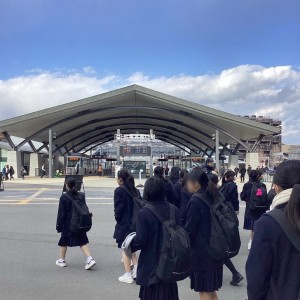 Image (1)