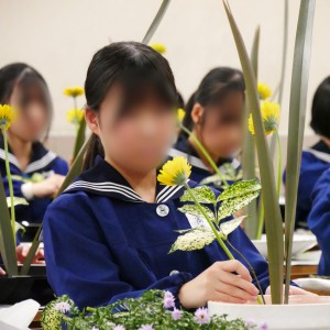 P1560717 - コピー