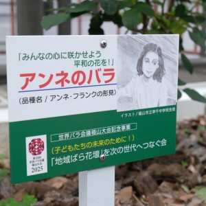 DSCF2981 - コピー