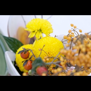 DSCF3622 - コピー