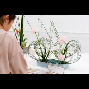 DSCF3618 - コピー