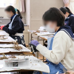 DSCF3317 - コピー