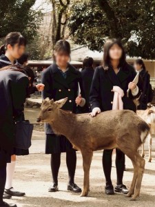 3_2A445AAC-F66C-4322-8ECA-24B31E4E56DB