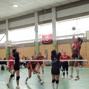 P3151125 - コピー