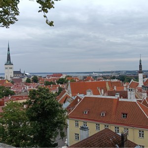 IMG20260726144050
