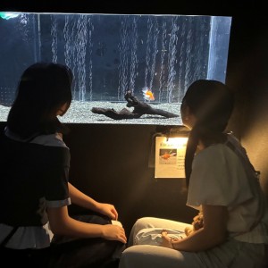 R8生物部2