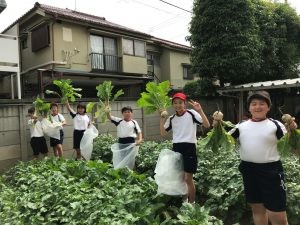 今年度から農園プログラムが食育プログラムに進化しました