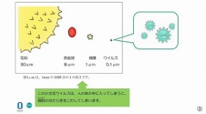 東星学園 大矢正則校長 カトリック　ミッション　男女　コロナウイルスってなんだろう？②(3)