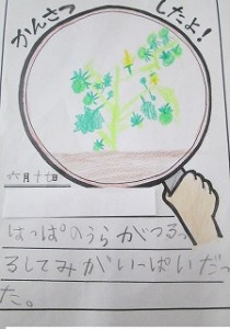 清瀬　私立　小学校　東星学園　校長　大矢正則　2年生 生活(4)