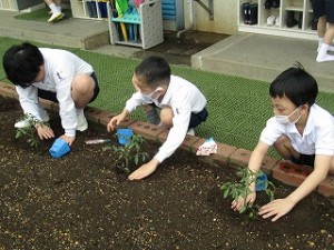 カトリック　ミッション　男女　東星学園　校長　大矢正則　2年生 生活(1)