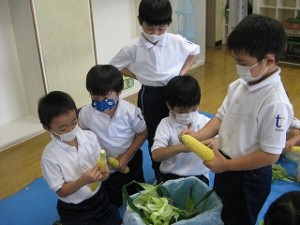 東星学園　校長　大矢正則　清瀬　私立　小学校　　1年生　とうもろこしの皮むき体験(4)