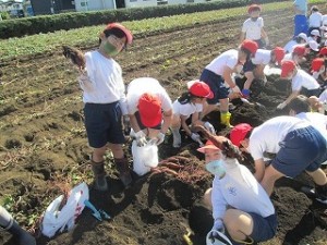 清瀬　私立　小学校　東星学園　大矢正則校長　おいもほり(2)