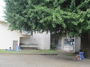 清瀬　私立　小学校　東星学園　大矢正則校長　秋の一日写生会(2)