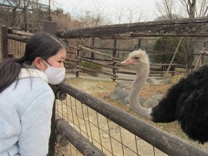 東星学園　校長・大矢正則　カトリック　ミッション　男女　6年生・卒業遠足(5)