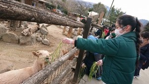 東星学園　校長　大矢正則　清瀬　私立　小学校　6年生・卒業遠足(4)