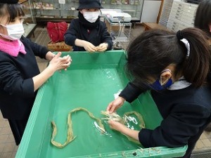 東星学園小学校　校長　大矢正則　4年生社会科見学 (6)