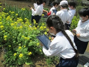 カトリック　ミッション　男女　東星学園　校長　大矢正則　生活科×ICT(1)