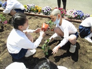 カトリック　ミッション　男女　東星学園　大矢正則校長　2年生の学習(3)