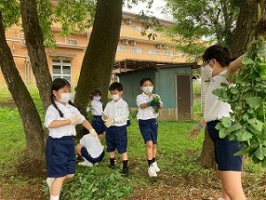 カトリック　ミッション　男女　東星学園　校長　大矢正則　宗教委員の活動 (1)