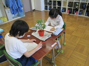 清瀬　私立　小学校　東星学園　大矢正則校長　2年生の学習(2)