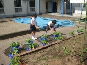 清瀬　私立　小学校　東星学園　校長　大矢正則　1年生～あさがお～④