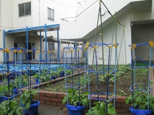 カトリック　ミッション　男女　東星学園　校長　大矢正則　1年生～あさがお～⑤