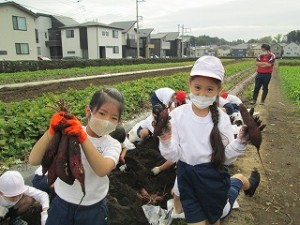 カトリック　ミッション　男女　東星学園　大矢正則校長　おいもほり(3)