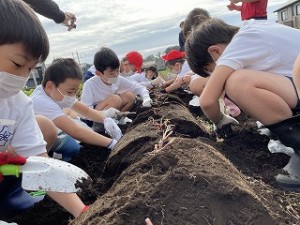 カトリック　ミッション　男女　東星学園　大矢正則校長　おいもほり(1)