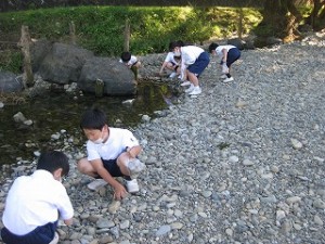 清瀬　私立　小学校　東星学園　大矢正則校長　1年生　お散歩(2)