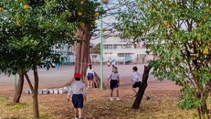 清瀬　私立　小学校　東星学園　大矢正則校長　2年生 普段の様子(6)