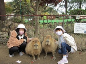 東星学園　校長・大矢正則　カトリック　ミッション　男女　5年生遠足　群馬サファリパーク（5）