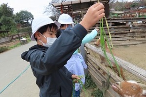 東星学園　校長・大矢正則　清瀬　私立　小学校　5年生遠足　群馬サファリパーク（2）