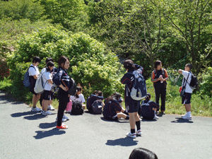 長距離ハイク