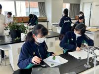 家庭科　中学1年生　藍のたたき染め