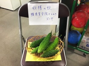20201001・04ゴーヤa