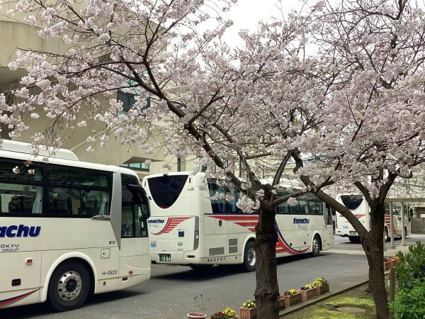 20240405･01高校ｵﾘｴﾝﾃｰｼｮﾝ出発a6