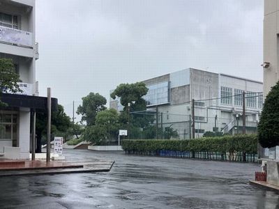 20240628･11雨の日a4