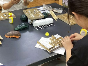 20240817・03おもしろ科学「ダンゴムシ」a3