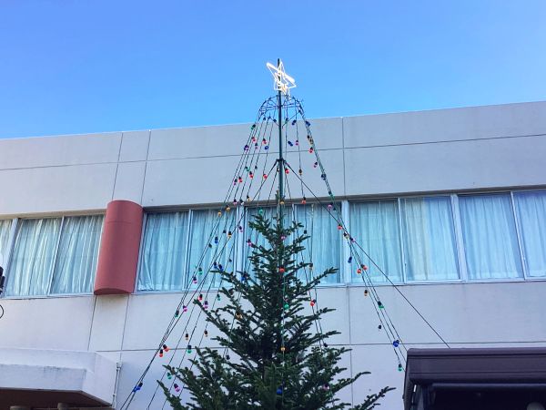 20241119･01ｸﾘｽﾏｽﾂﾘｰa6