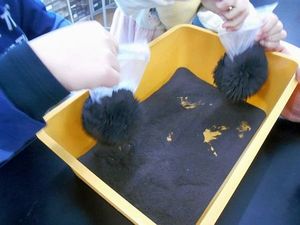 20250125･02おもしろ科学01月a3