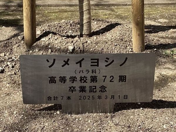 20250325･01高校卒業記念樹a6