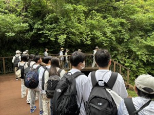 小網代①_n