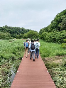小網代②_n