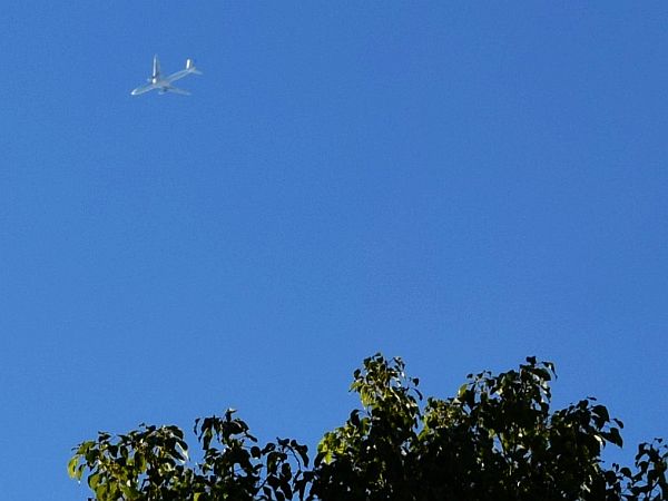 20251027・02高2明日から体験学習a6