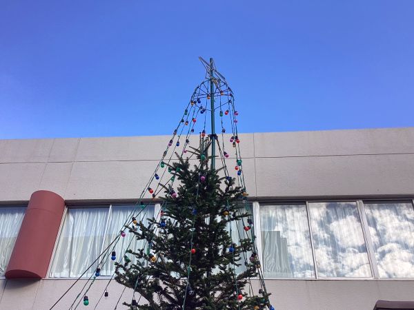 20251119･01ｸﾘｽﾏｽﾂﾘｰa6