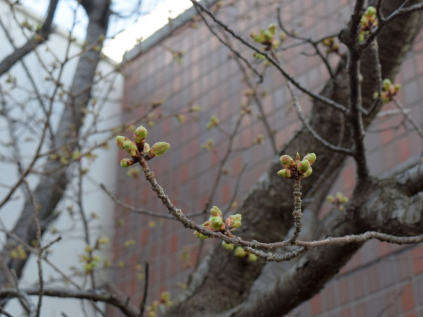 20260120･02高3登校日a6