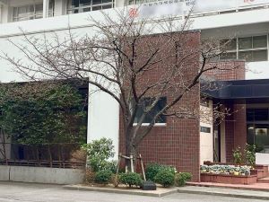 20260120･01高3登校日a3